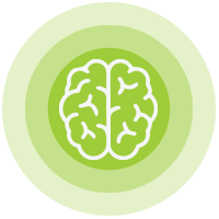 Supporto neurologico dell’adulto Icona che rappresenta un cervello